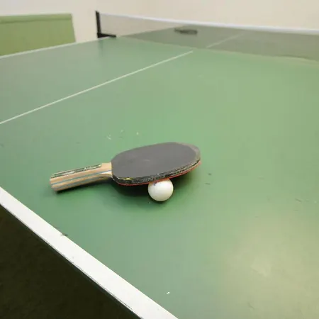 Pleasant With Sauna, Terrace,garden,darts, Parking